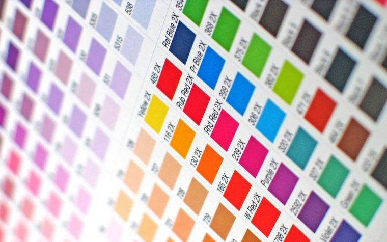 stampa digitale adesivo decorazione automezzi e vetrofania
